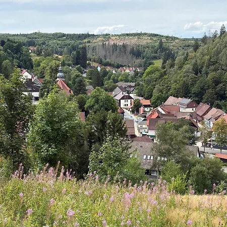 Ibu Sfeervol In De * Altenau (Lower-Saxony)