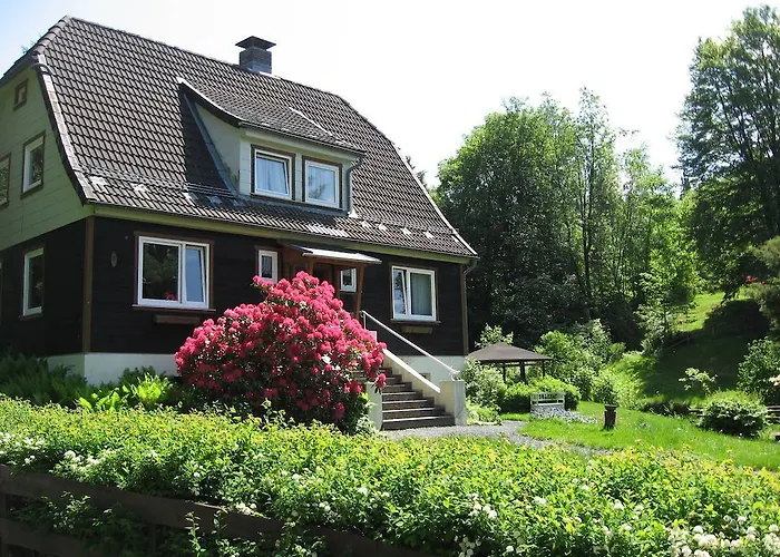 Ibu * Altenau (Lower-Saxony)